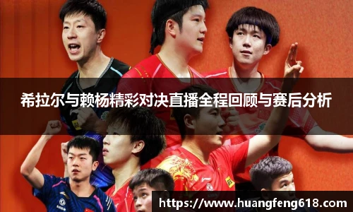 希拉尔与赖杨精彩对决直播全程回顾与赛后分析